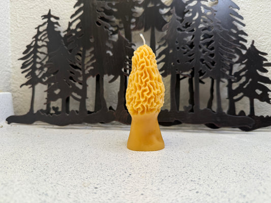 4 1/2”Morel Mushroom Beeswax Candle